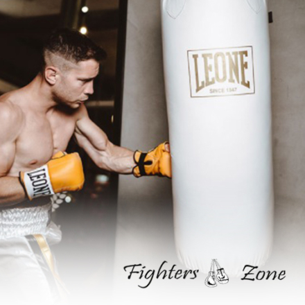 Anteprima-FightersZone